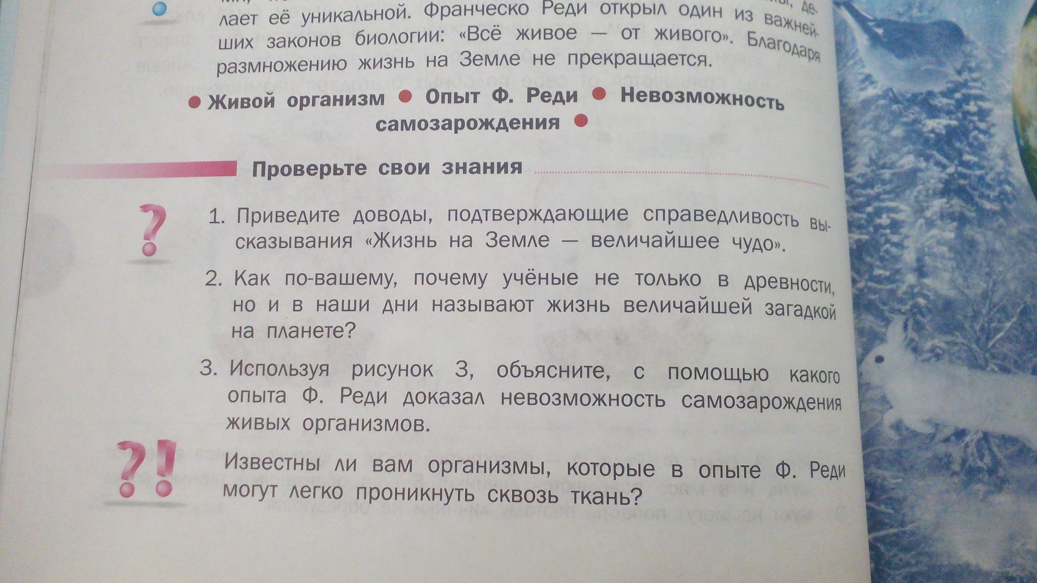 Определите Стиль Текста Приведите 2 Аргумента Подтверждающих