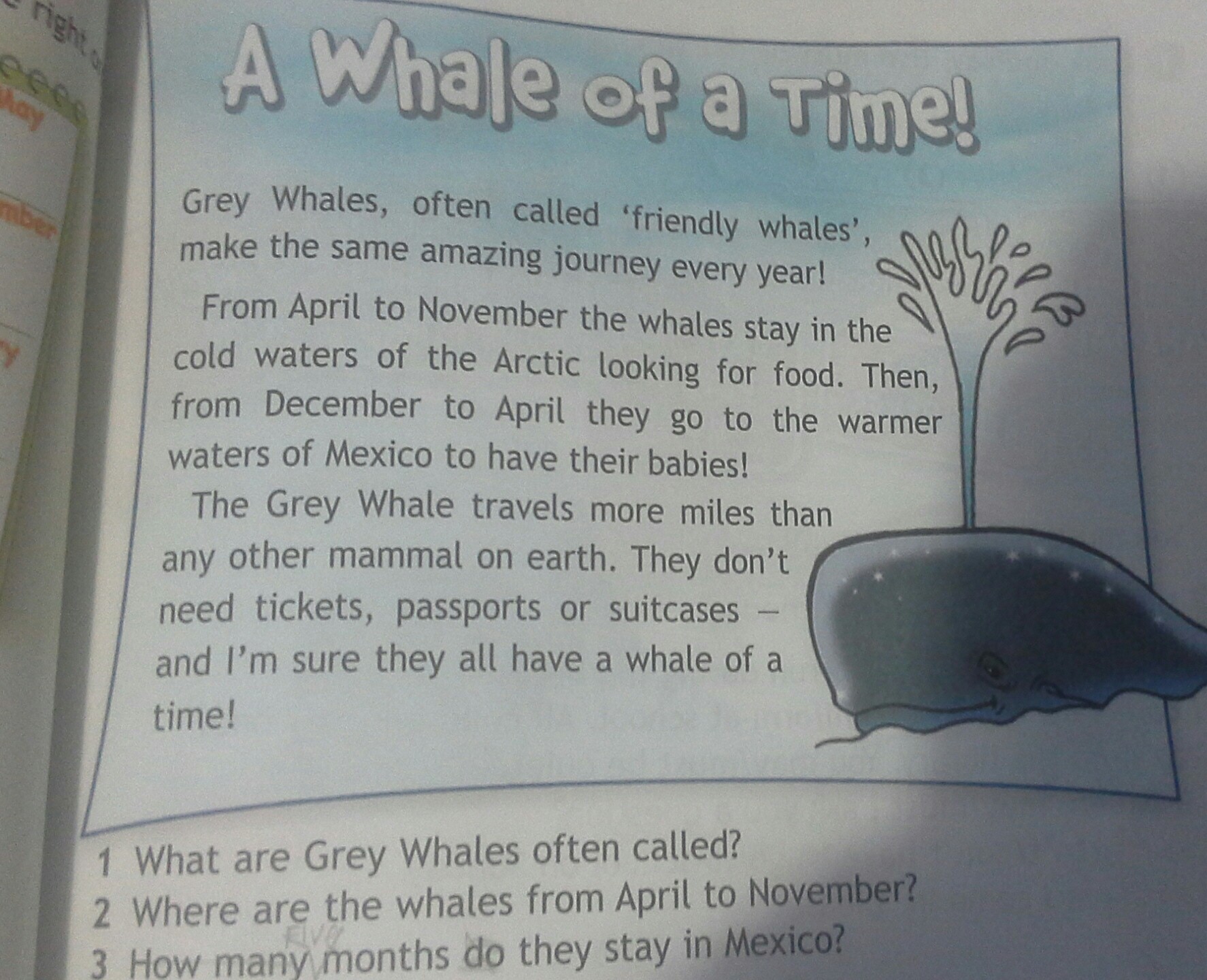 Grey whales often. Often Called перевод. What are Grey Whales often Called перевод. Grey Whales перевод. Grey Whales, often Called 'friendly Whales', make the same amazing Journey every year переводчик.