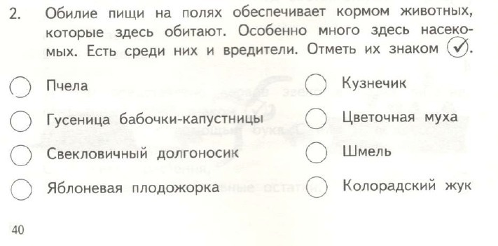 Отметь галочкой схему. Отметь галочкой верные утверждения.