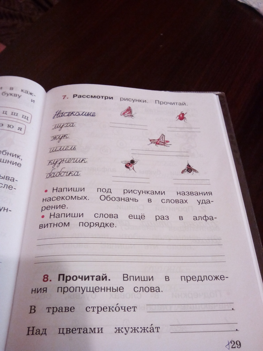 Напиши под. Слова названия рисунков в алфавитном порядке. Напиши слова названия рисунков в алфавитном порядке. Составь слова запиши и прочитай их. Под рисунками названия насекомых обозначь в словах ударение.