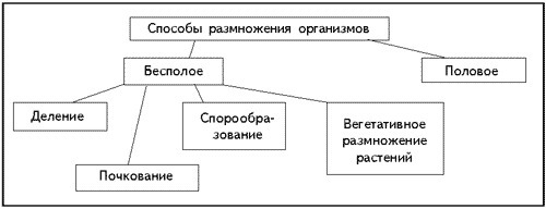 Схема типы размножения растений