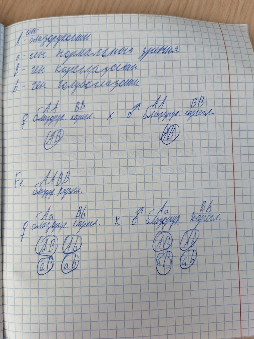 У человека ген карих глаз доминирует. У человека праворукость доминирует над леворукостью. У человека близорукость доминирует над нормальным. Близорукость доминирует над нормальным зрением. Женщина с нормальным зрением гетерозиготная кареглазая.