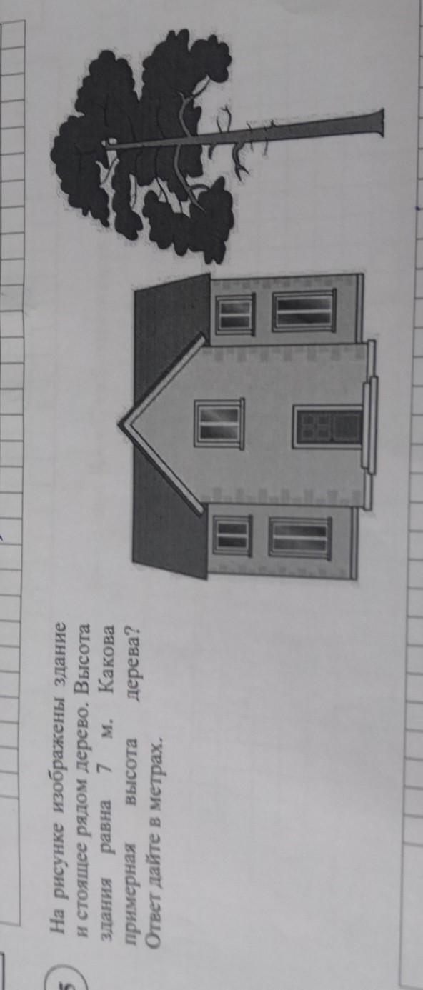 На рисунке изображены здание и дерево высота дерева 10 м какова примерная высота здания
