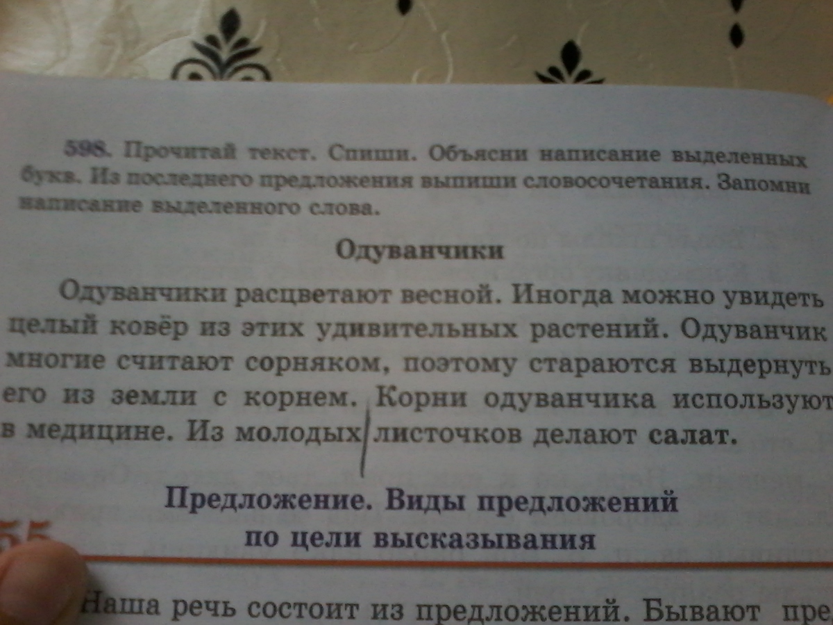 Текст объясни. Прочитай текст. Выпиши словосочетания. Выпиши из текста последнее предложение ответ. Выпиши из текста объяснение выделенного слова. Выпиши все возможные словосочетания из выделенных предложений.