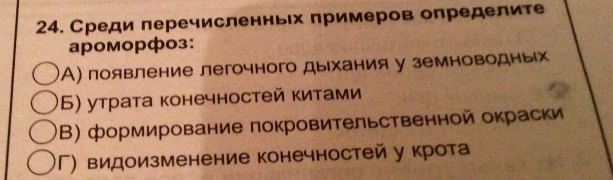 Выберите среди перечисленных. Среди перечисленных примеров.. Среди перечисленных примеров определите ароморфоз. Среди перечисленных примеров ароморфозом является. Среди перечисленных примеров определите ароморфоз плоская форма.