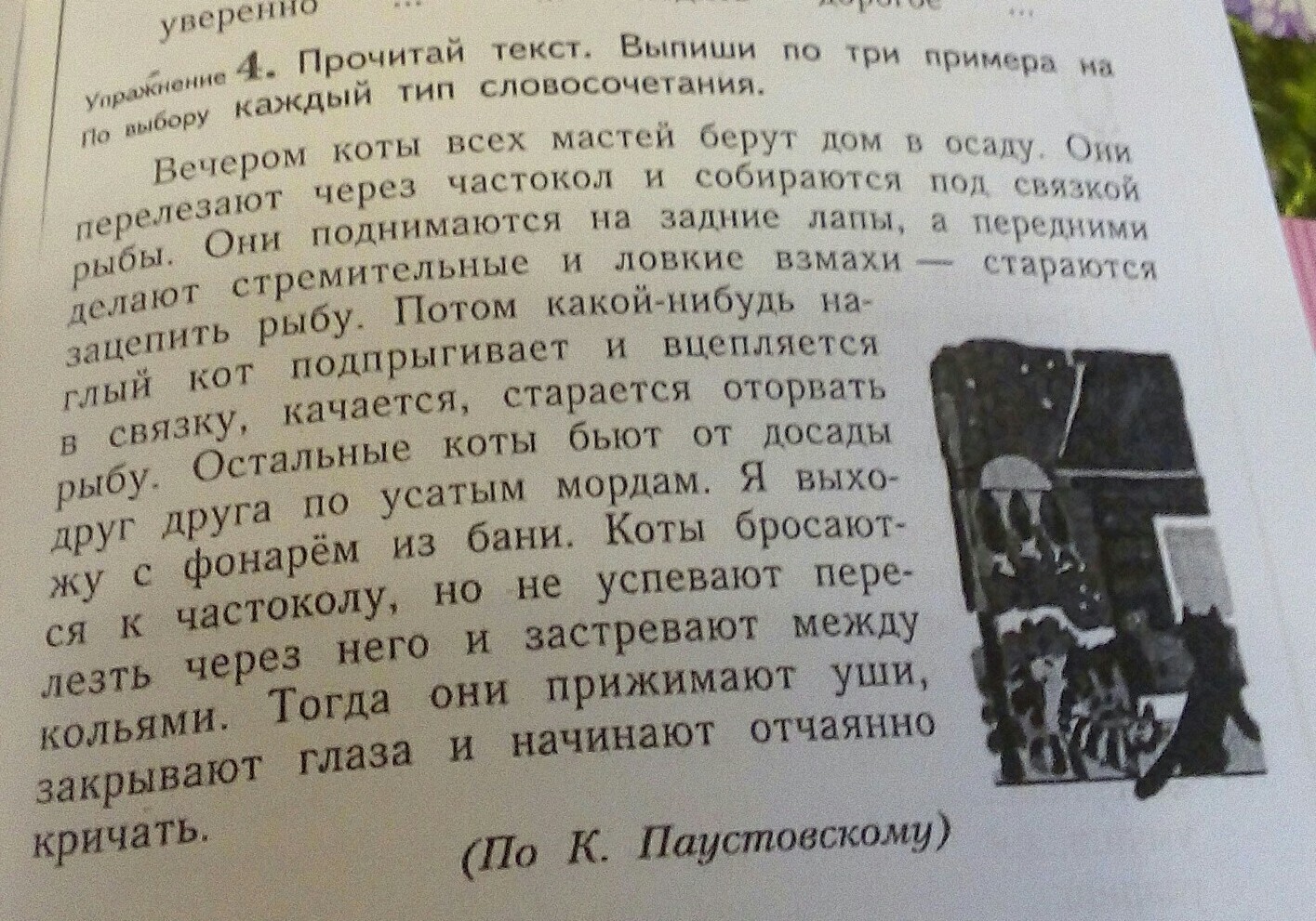 Вечером коты тип словосочетания. Вечером коты всех мастей. Вечером коты всех мастей берут. Прочитай текст выпиши три примера на каждый Тип словосочетания.