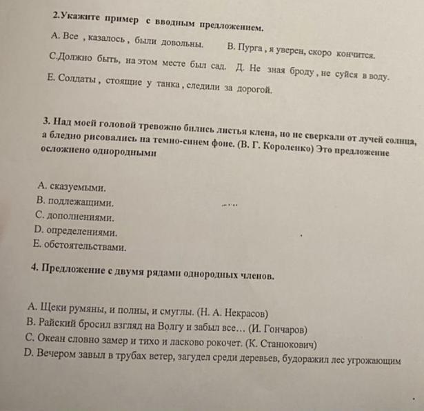 Вводный тест по русскому