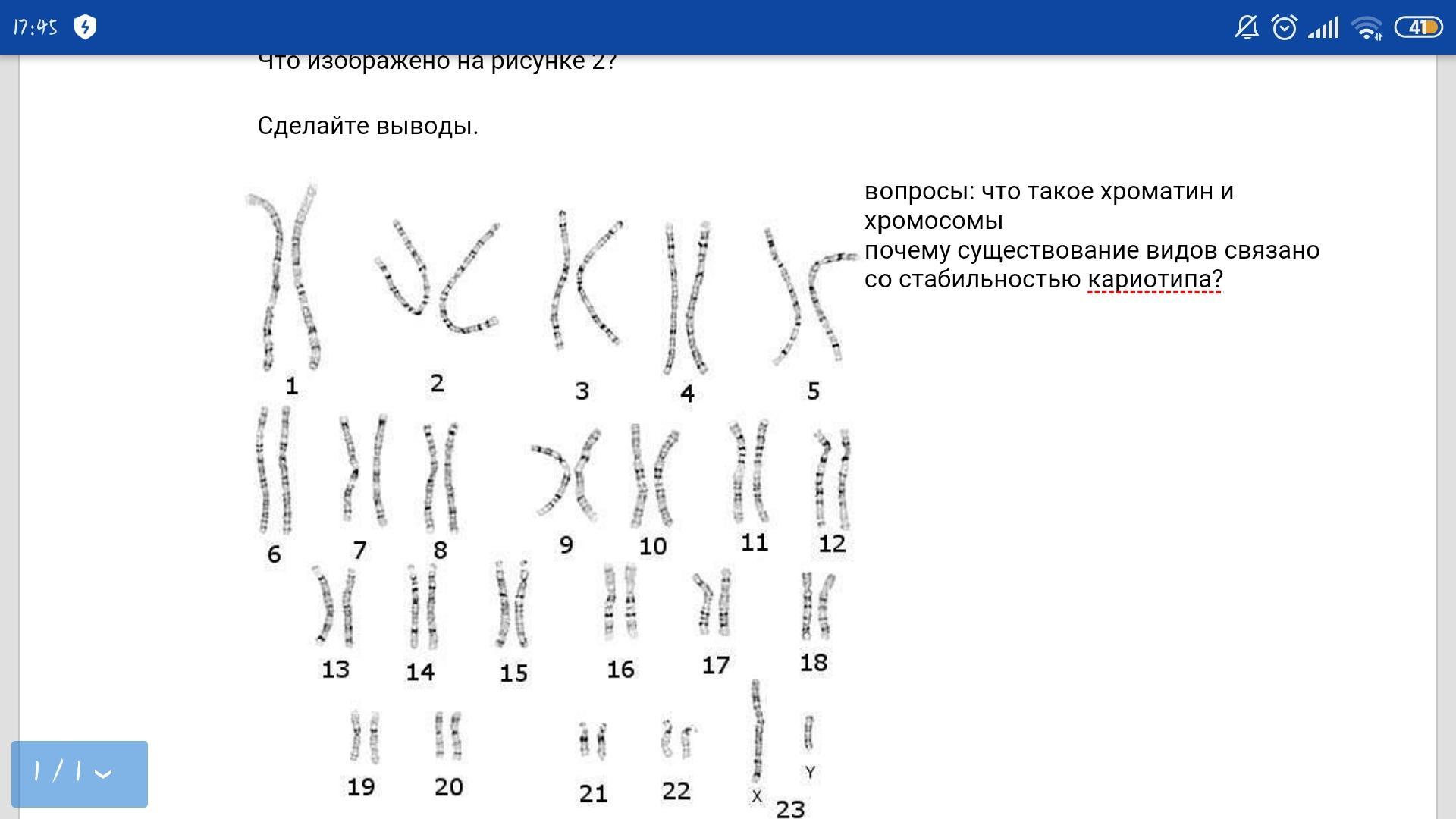 Определите что изображено на рисунке 1