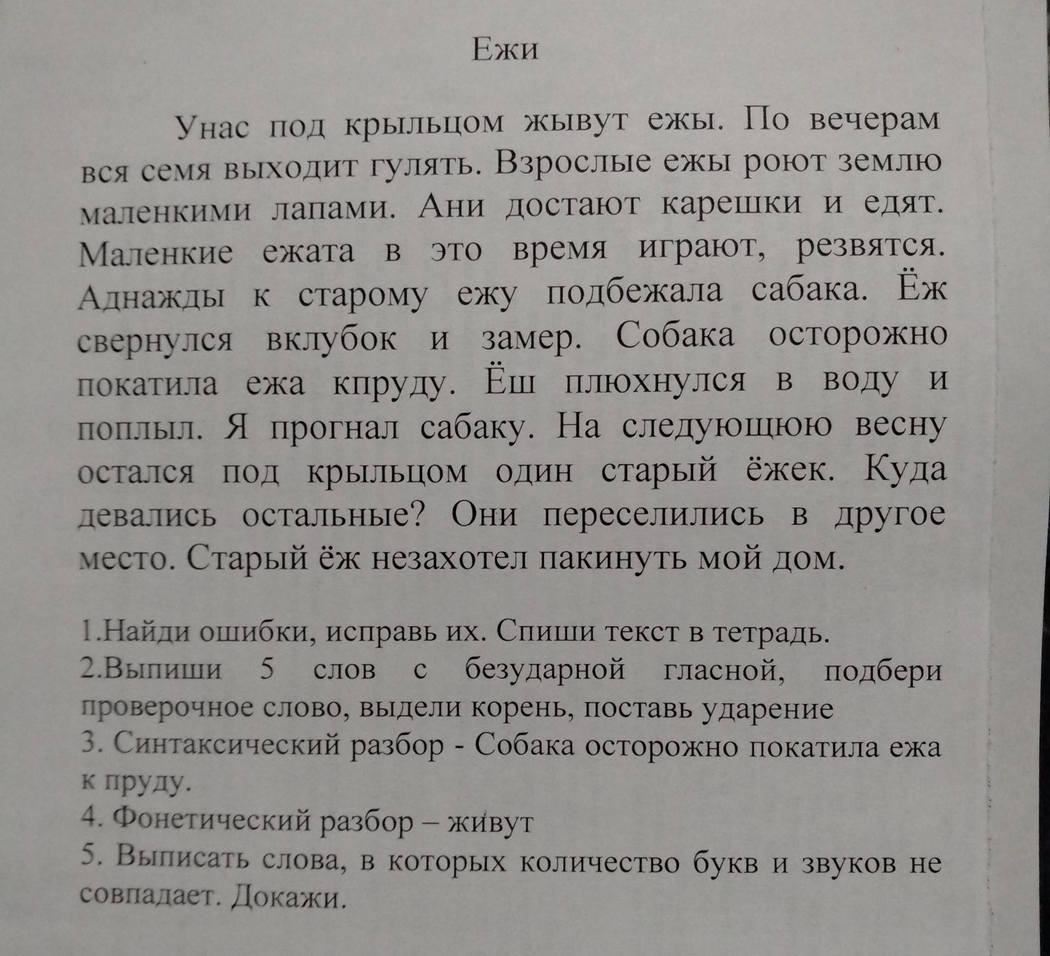 Однажды вечером текст. Диктант Ежи. Диктант Ежик. У нас под крыльцом живут Ежи текст. Текст Ёжик диктант.