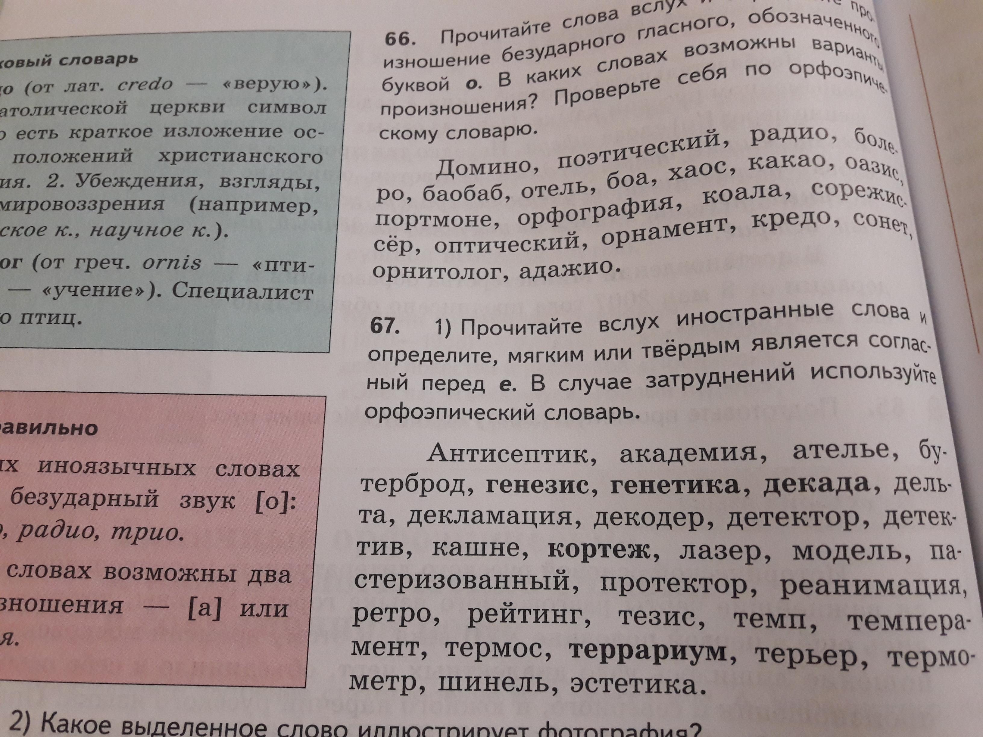 Прочитайте вслух и объясните. Прочитайте это вслух. Чтение вслух какая речь. Читать вслух это какая речь. Академия твердый или мягкий согласный перед е.