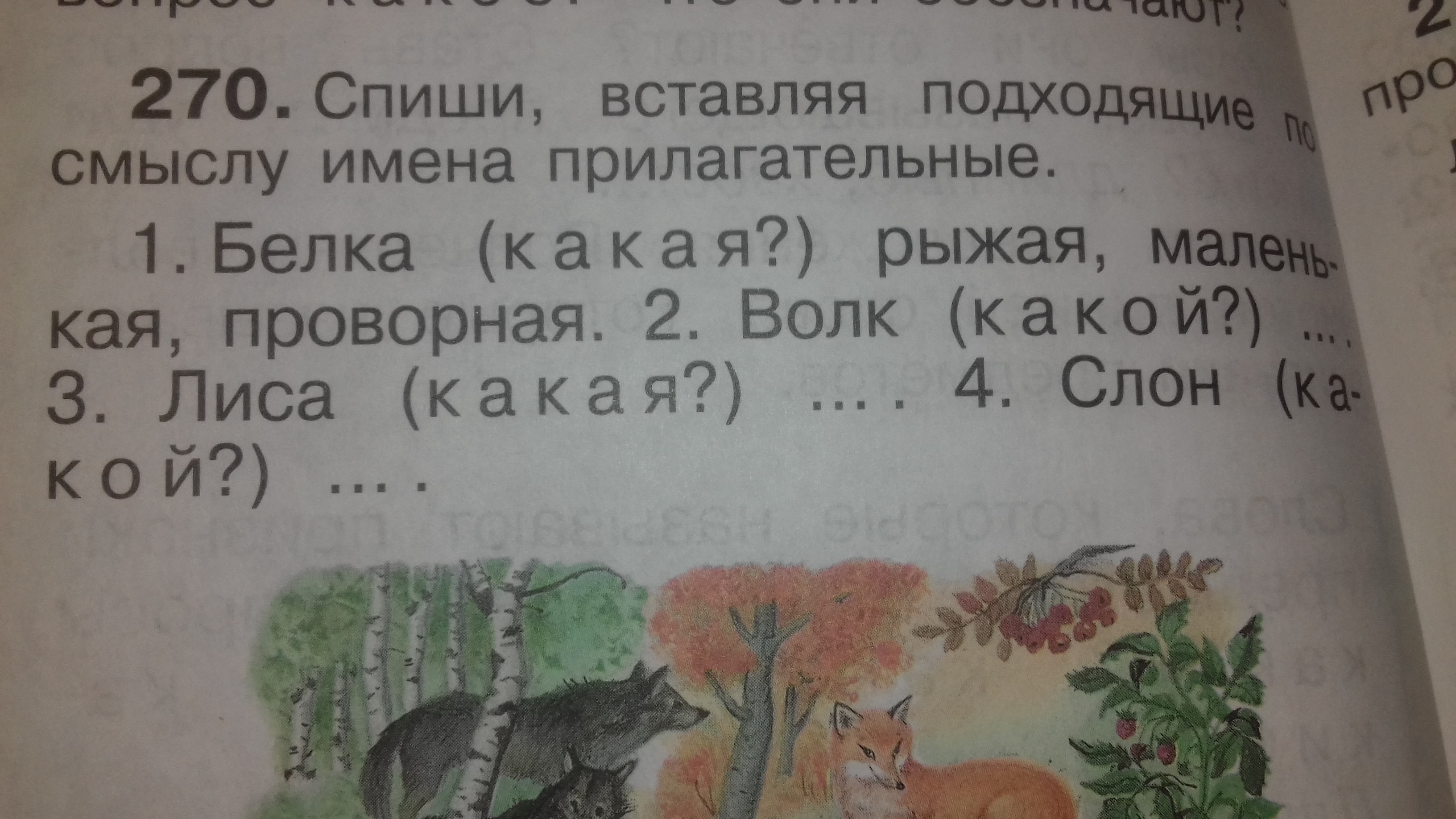 Поставь подойди. Спиши вставляя подходящие по смыслу имена прилагательные. Белка прилагательные. Белка какая прилагательные. Белки какие прилагательные.