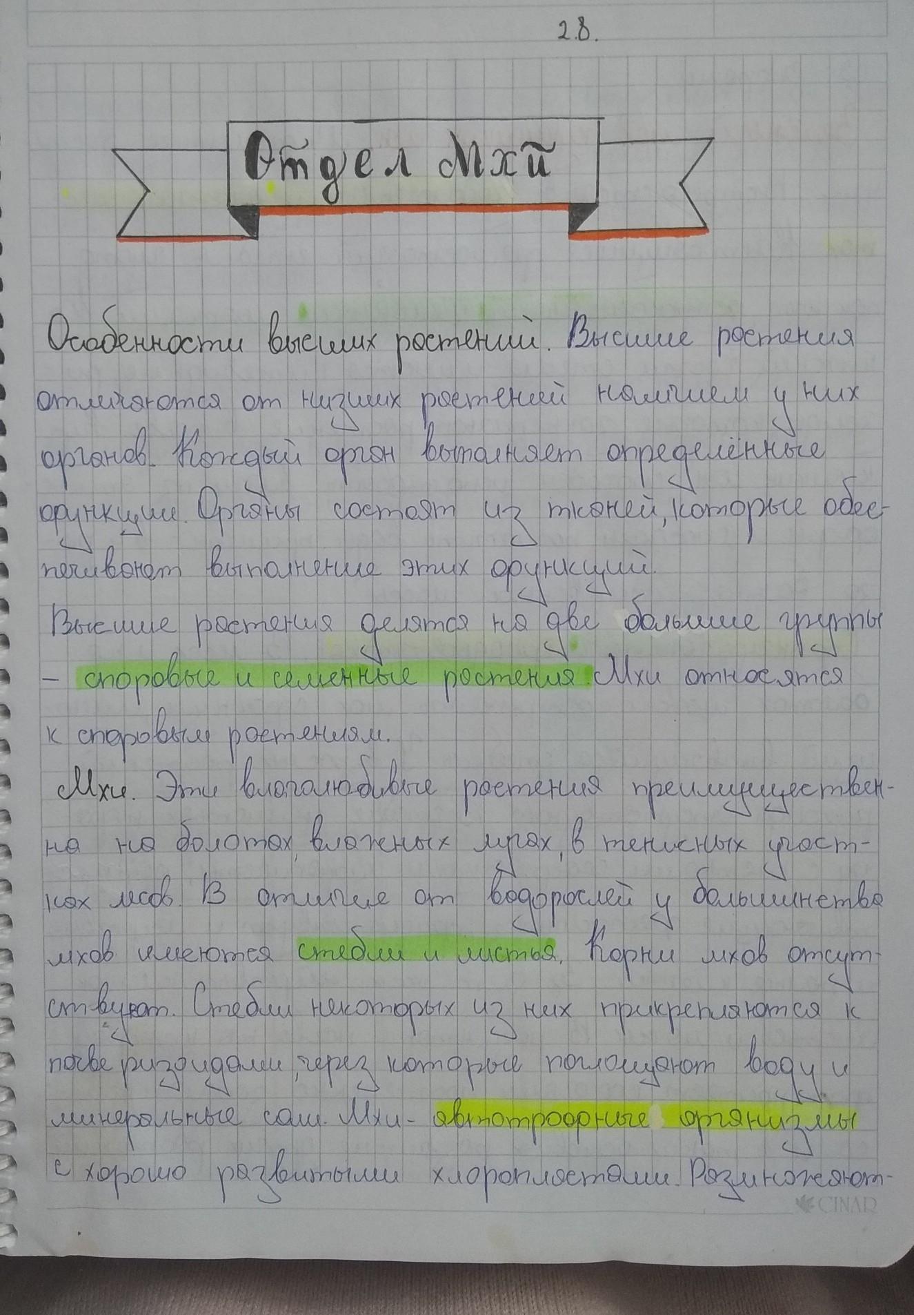 Придумай и нарисуй апельсиновое яйцо заполни таблицу