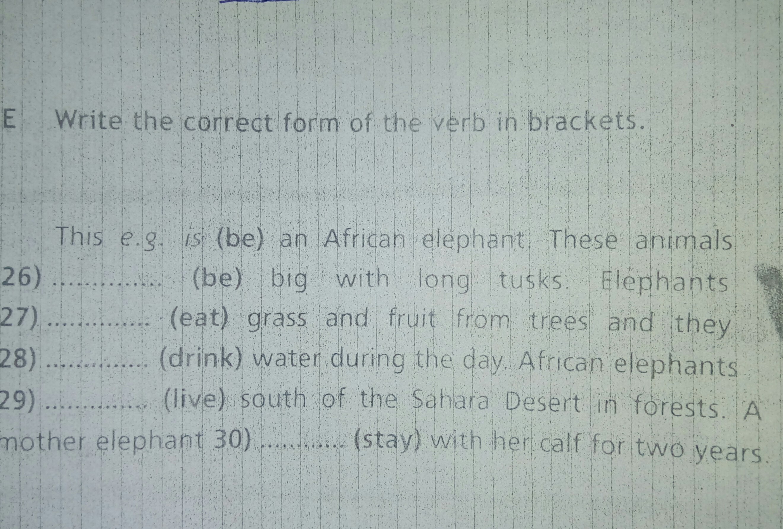 Write the correct form. Correct form of the verb. Write the correct form of the verb. Write the correct form of the verbs in Brackets. Write the correct form of the verb to be:.