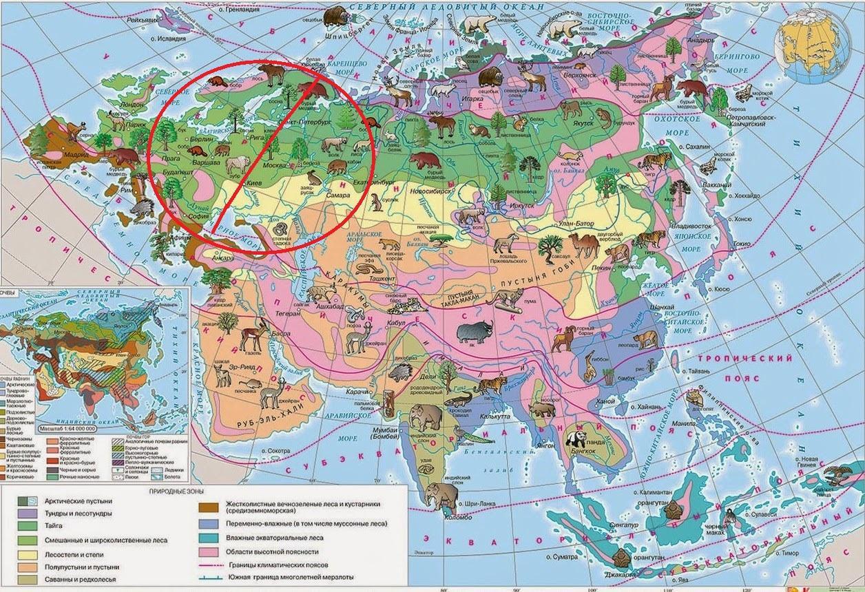 Набор природных зон. Карта природных зон Евразии. Природные зоны материка Евразия. Карта природных зон мира с животными и растениями. Природные зоны Евразии на карте мира.