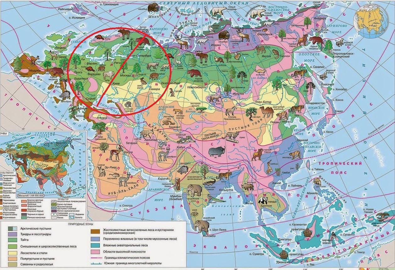 Где обитает в какой природной зоне. Карта природных зон Евразии. Природные зоны материка Евразия. Карта природных зон мира с животными и растениями. Природные зоны Евразии на карте мира.