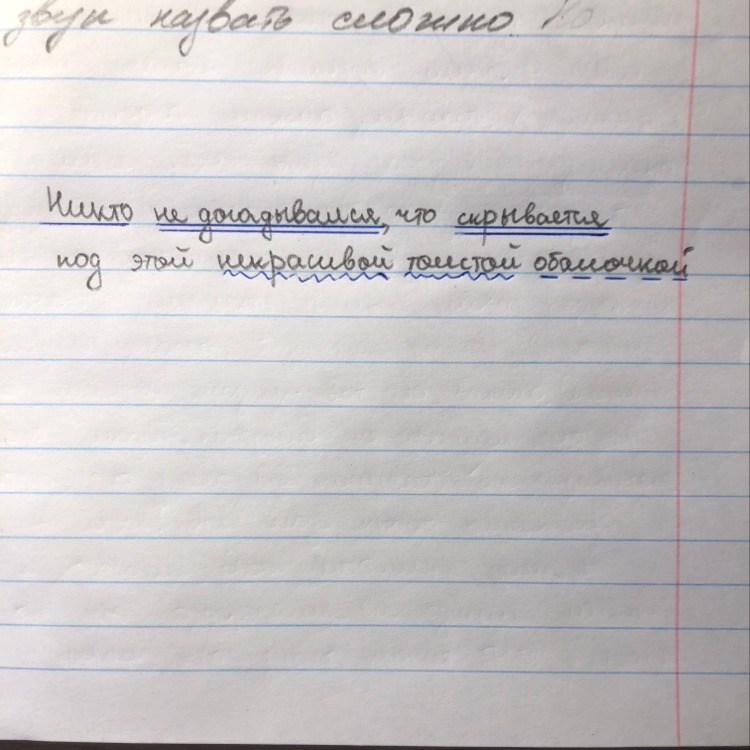 Разбор ни. Синтаксический разбор никто никогда не сравнится с Юрой удачливости. Белый гриб заветная мечта синтаксический разбор. Никто никогда не сравнится с Юрой в удачливости синтаксический. Белый гриб заветная мечта каждого синтаксический разбор.