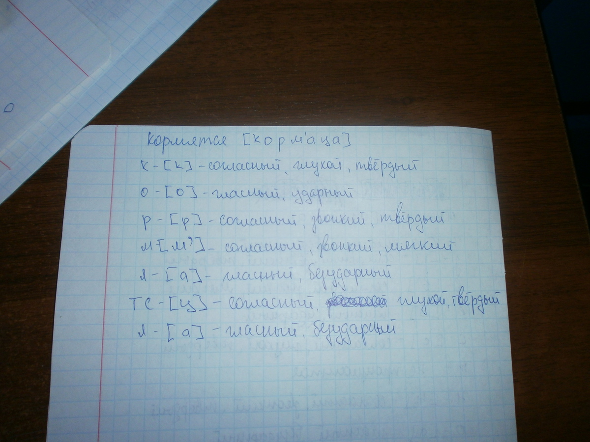 Разбор слова клен. Фонетический разбор слов на казахском. Разбор слова огурец. Фонетический разбор слово-известно,кормятся.. Разбор разбор фонетический разбор слова кормятся.