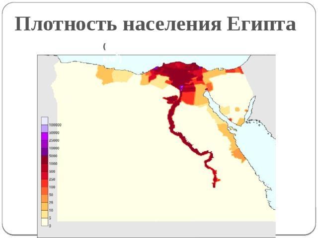 Общее население египта. Плотность населения Египта. Карта плотности населения Египта. Плотность населения Египта 2020. Карта Египта населенность.