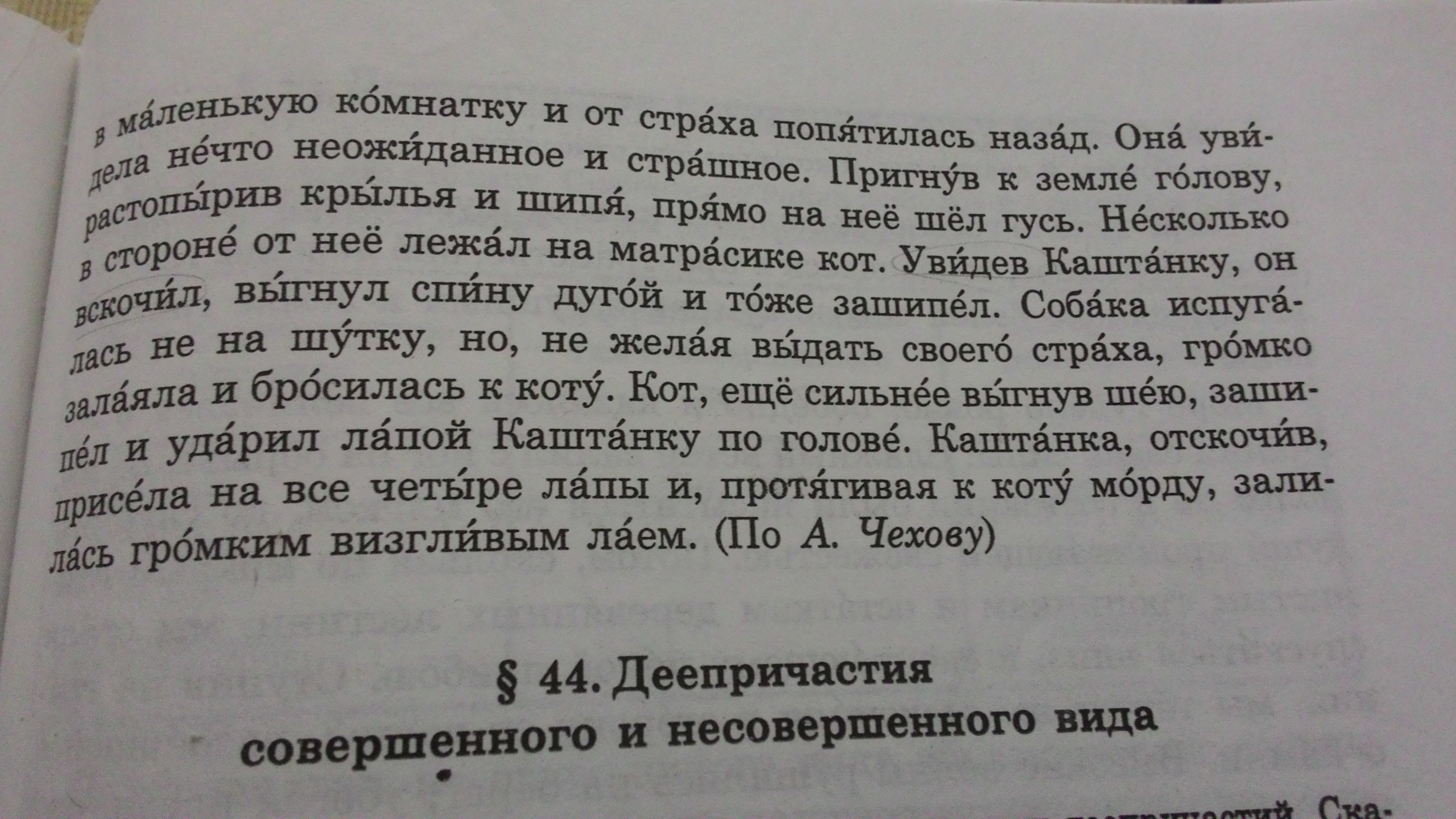 Каштанка вошла в маленькую комнату и в страхе попятилась