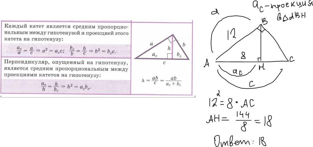 Проекция катетов