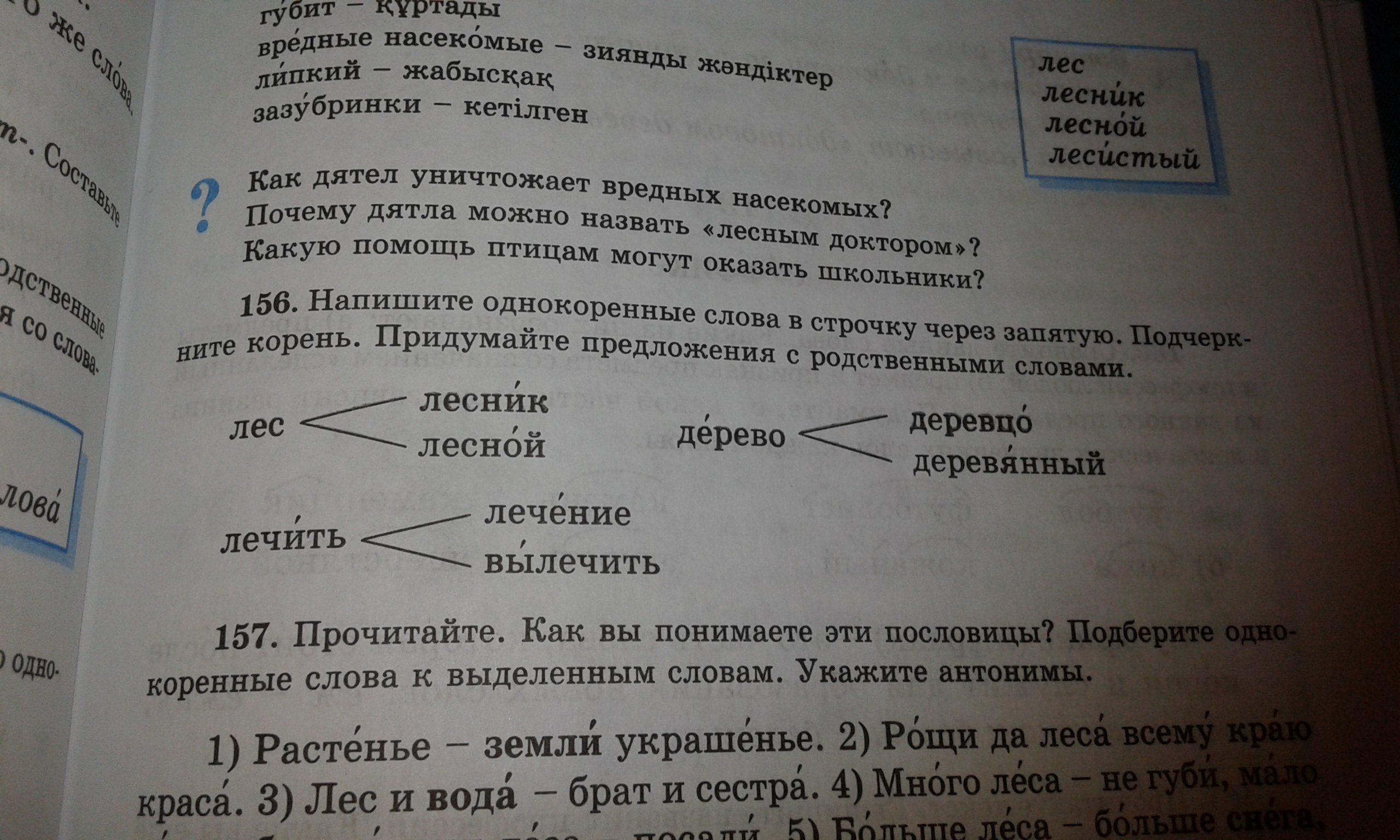 Русский язык 156