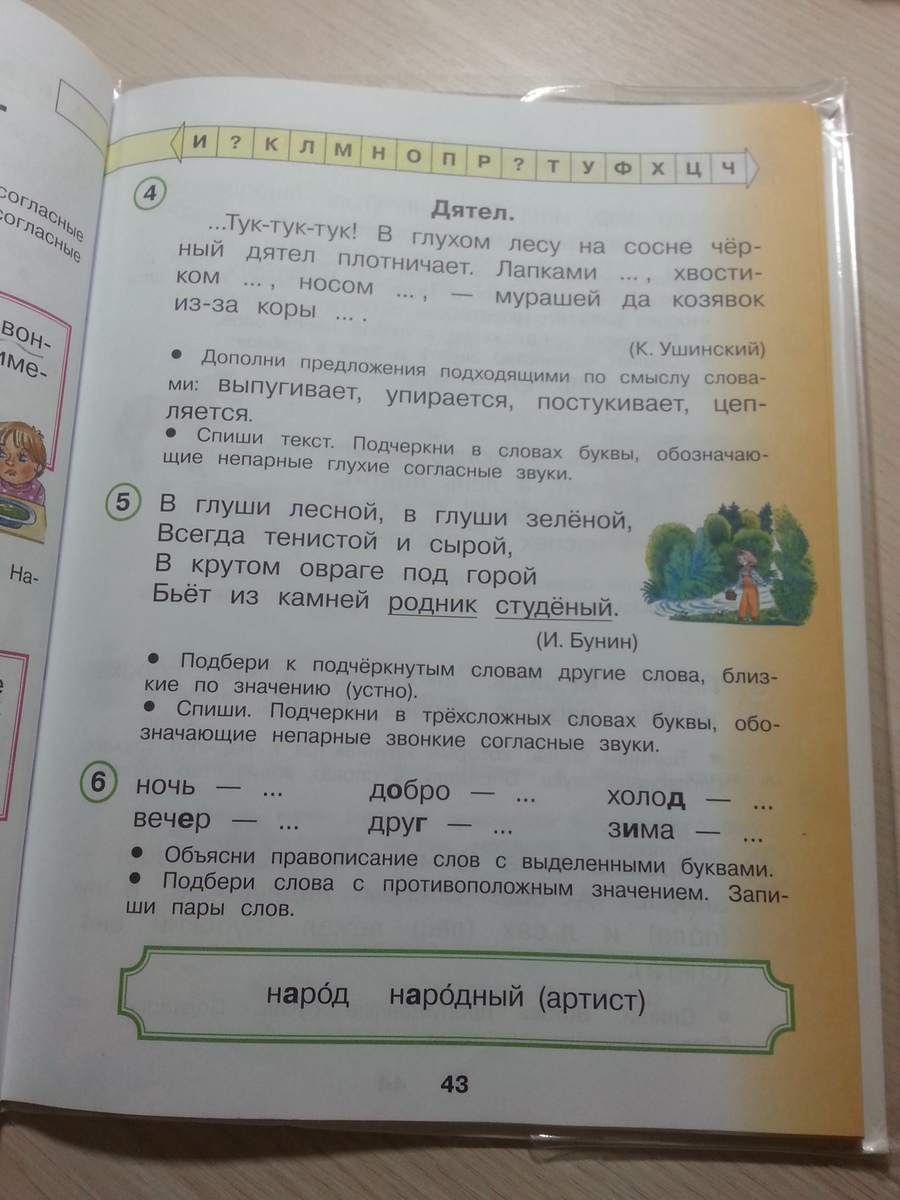 Стр 43 упр 4. Упр 43 стр. Тук тук тук в глухом лесу. Упр 121 тук тук в глухом лесу. Русский язык. §5, Упр. 43.