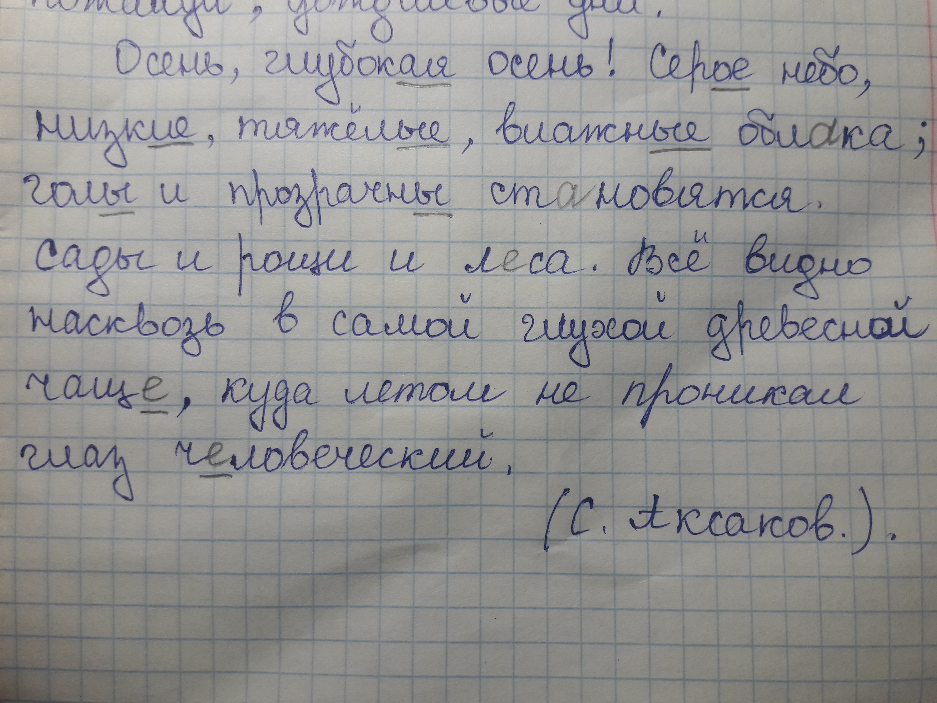 Мы посадили ее в ящик с землей и поставили в комнате у окна синтаксический разбор