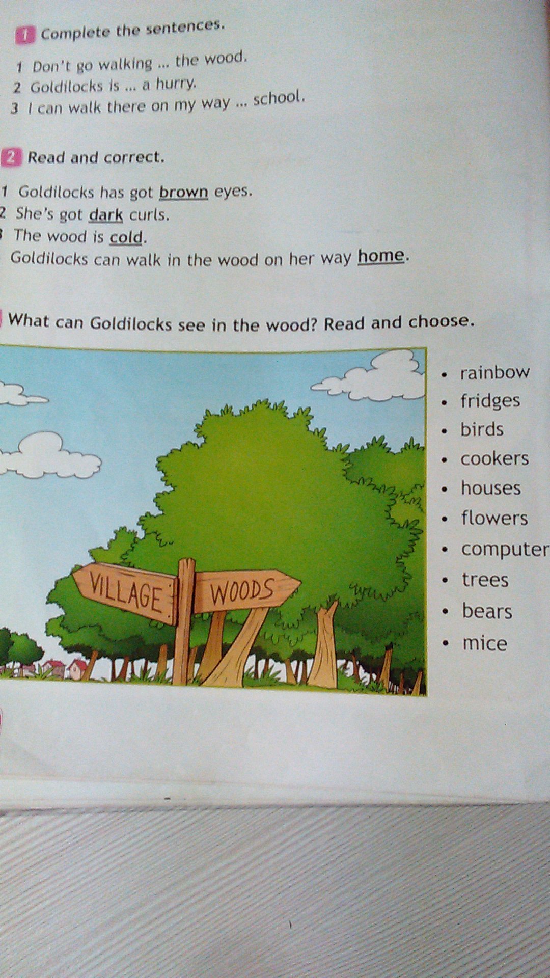 Module 1 complete the. Read and choose 2 класс. What can Goldilocks see in the Wood read and choose. Goldilocks из английского языка. Как переводится what can Goldilocks see in the Wood read and choose.