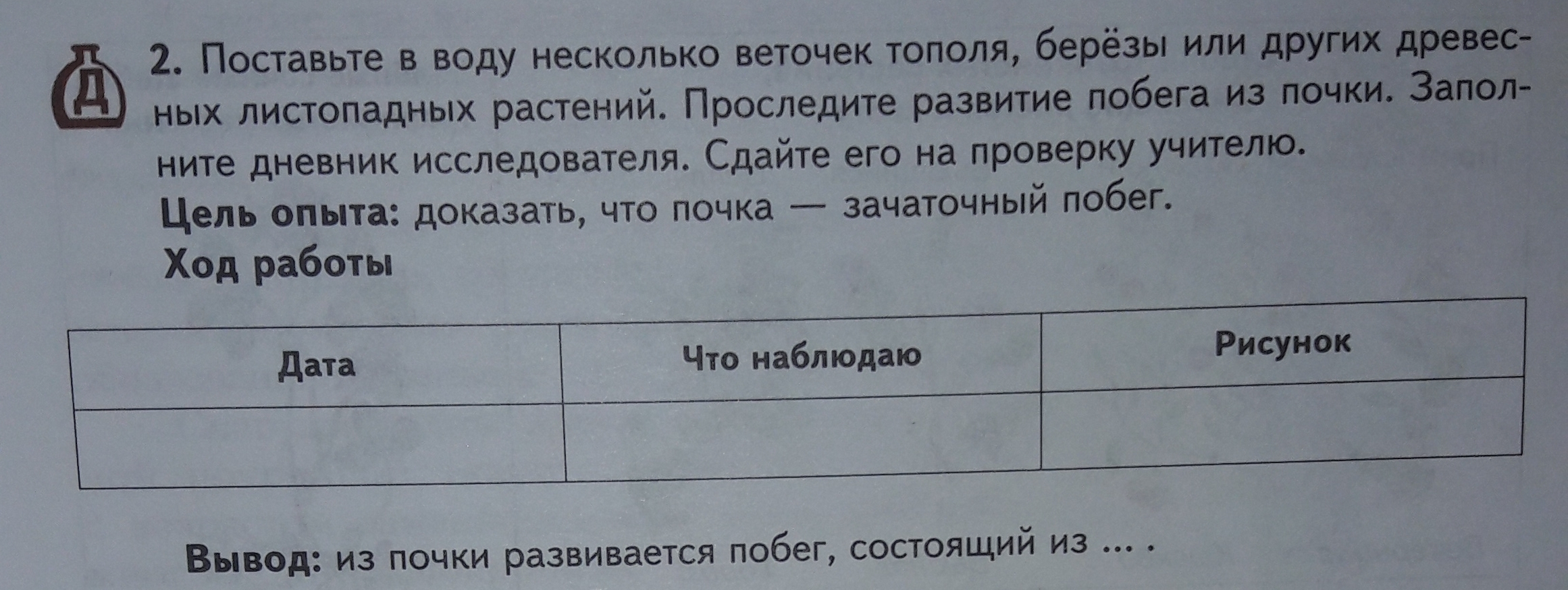 Поставь несколько. Поставьте в воду несколько веточек тополя. Поставьте в воду несколько веток берёзы тополя. Поставьте веточку тополя в воду.проследите развитие побега из почки. Поставьте в воду ветку тополя березы или других листопадных растений.