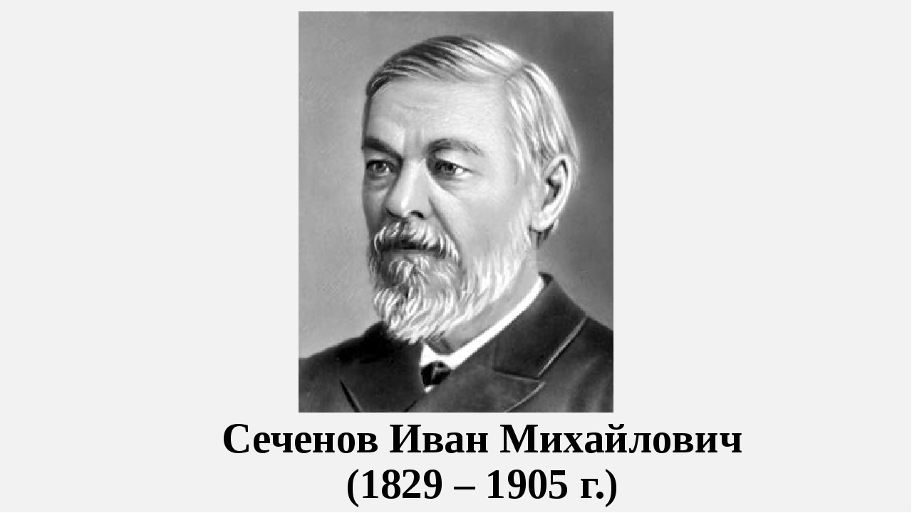 И м сеченов. Иван Михайлович Сеченов (1829–1905). Сеченов Иван Михайлович портрет. И.М. Сеченова (1829-1905). Иванов Михайловичей Сеченов.