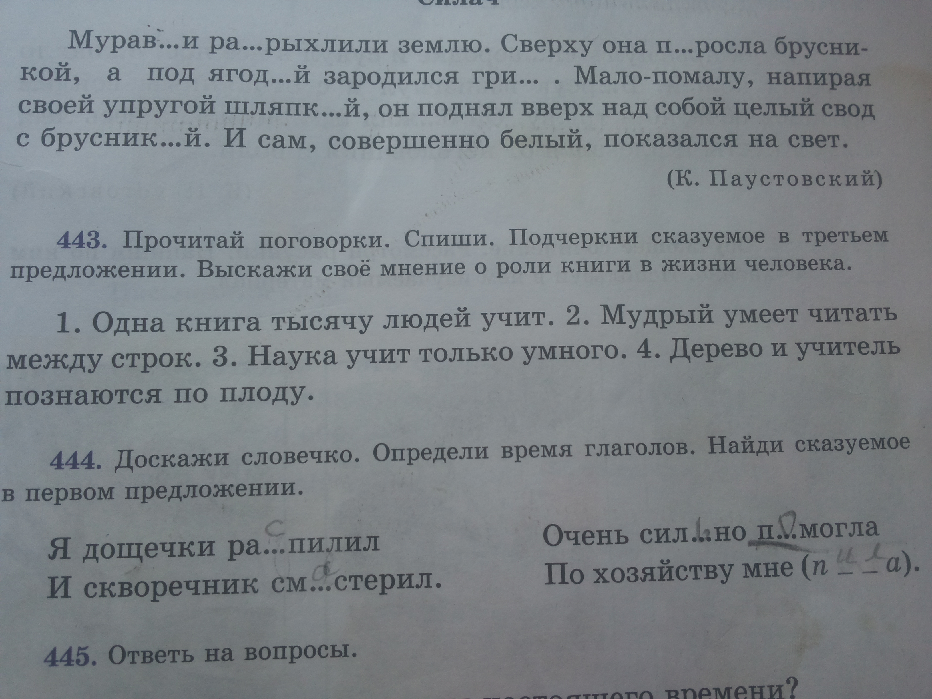 Русский язык 7 класс упражнение 443