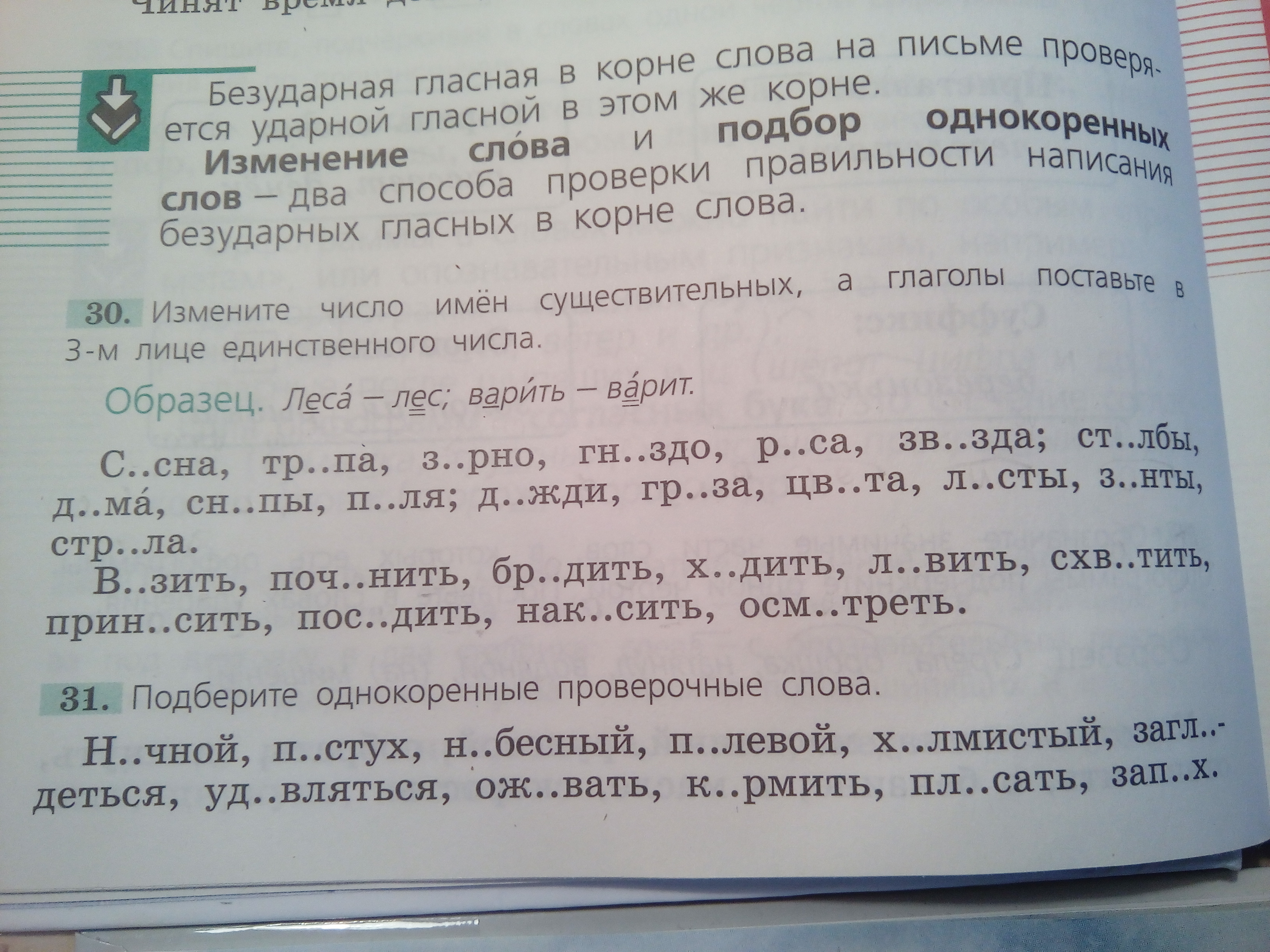 раст расти проверочное слово фото 82