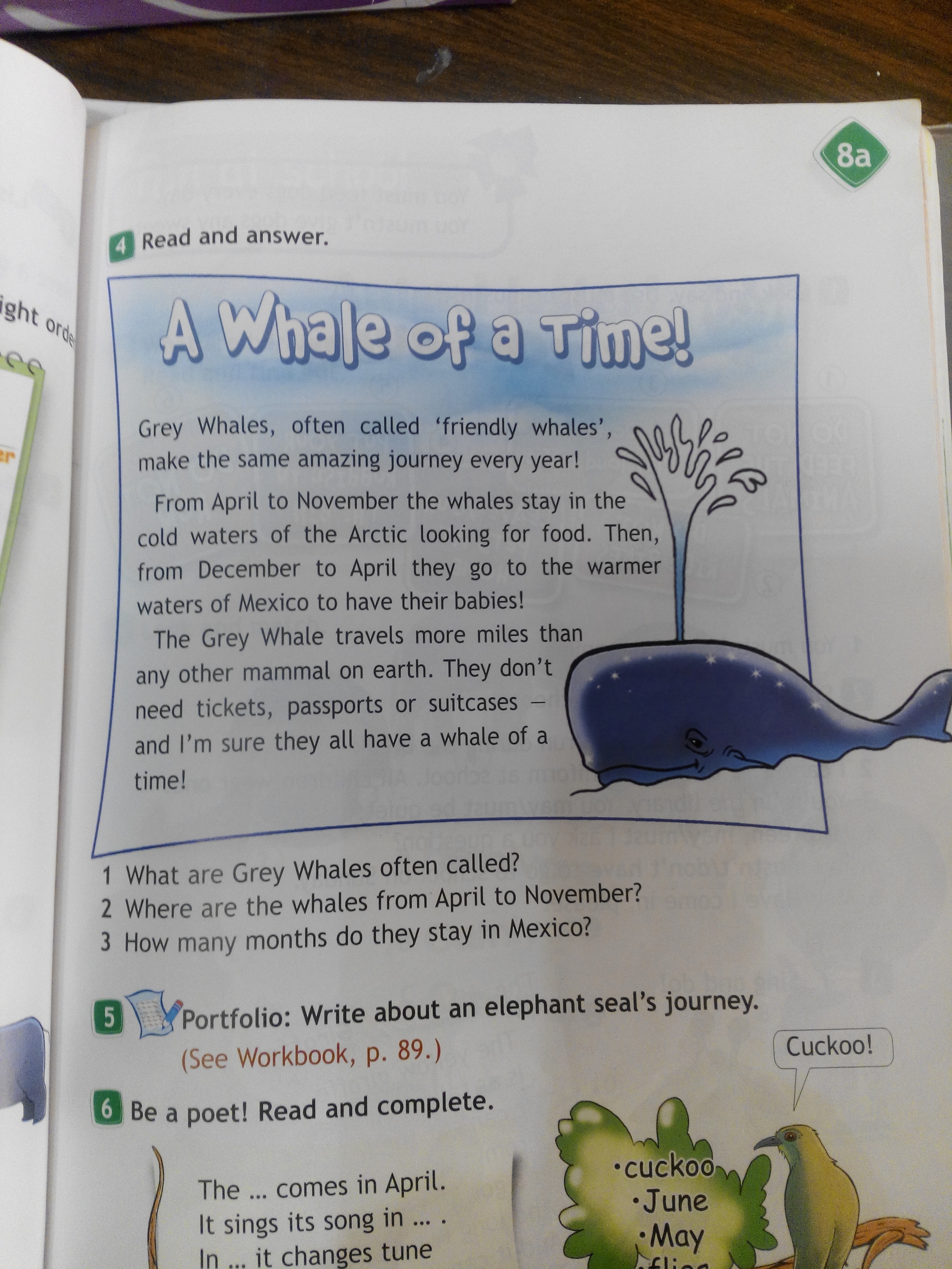 Grey whales often. Call перевод на русский. Called перевод на русский язык. Grey Whales often Called friendly Whales make the same amazing Journey every year. Как будет по английски Called.