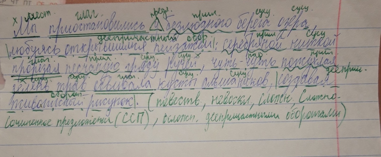 Петька и мишка устало плелись по пустынному. Петька и мишка устало плелись по пустынному синтаксический разбор. Петька и мишка устало плелись по пустынному берегу моря. Синтаксический разбор Петька и мишка устало плелись. Синтаксический разбор Петька и мишка устало.