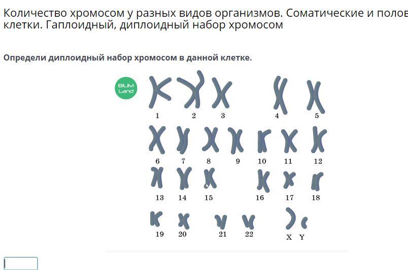 В гаплоидных клетках человека 23. Диплоидный и гаплоидный набор хромосом человека. Диплоидный набор хромосом у рыб. Диплоидный набор хромосом 1с. Набор хромосом у разных организмов.