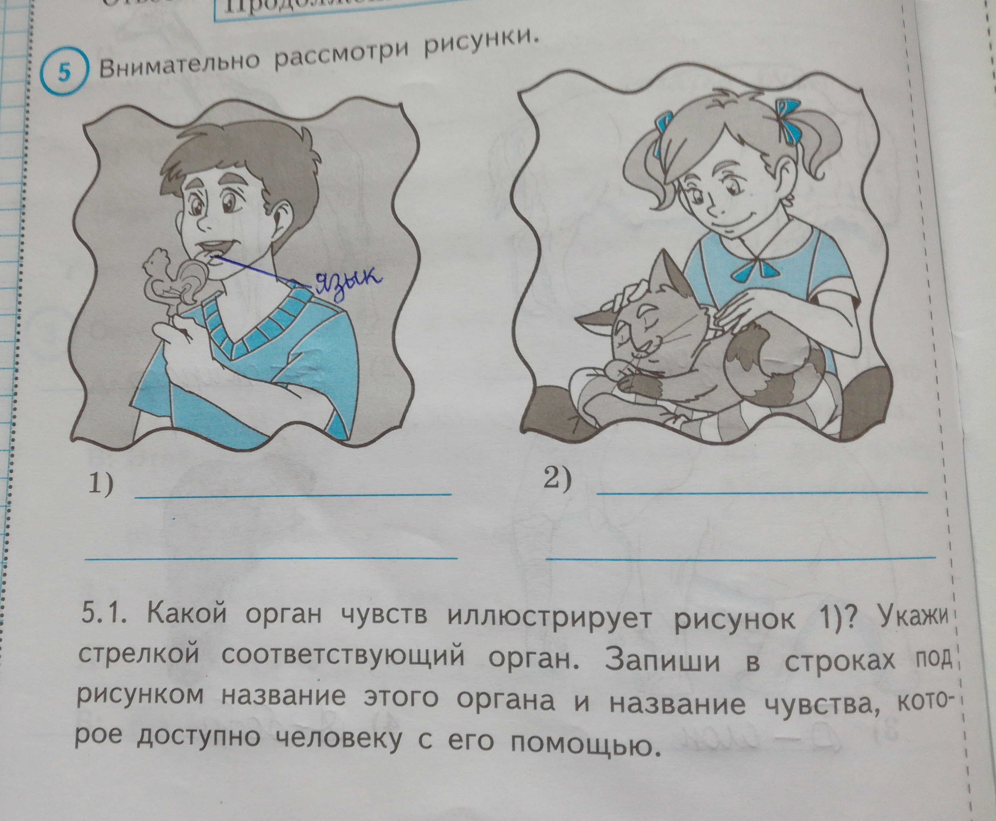 Внимательно задание. Внимательно рассмотри Ри. Внимательно рассмотри рисунок. Какой орган чувств иллюстрирует рисунок. Рассмотри внимательно картинку.