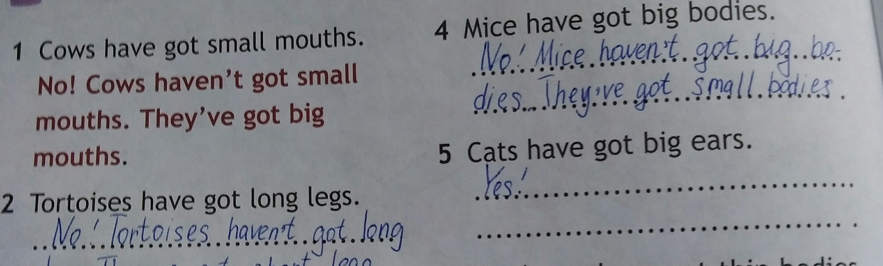 2 mice have got big eyes. Read and коррект. Read and correct 3 класс. Read and correct класс ответы. Read and correct как делать задания.