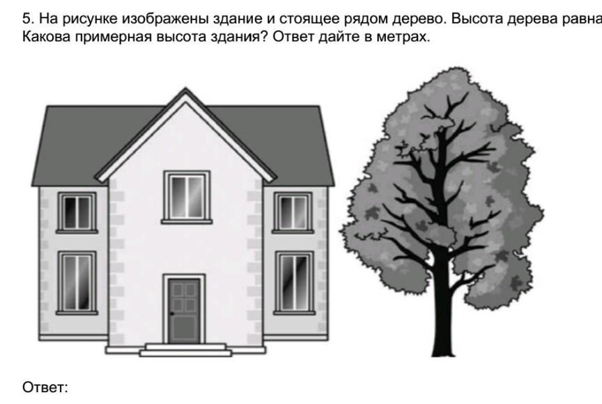 Рисунок 2 метра. Дерево рядом с домом рисунок. Какова примерная высота дерева. На рисунке изображено здание. На рисунке изображены здание и стоящее дерево.