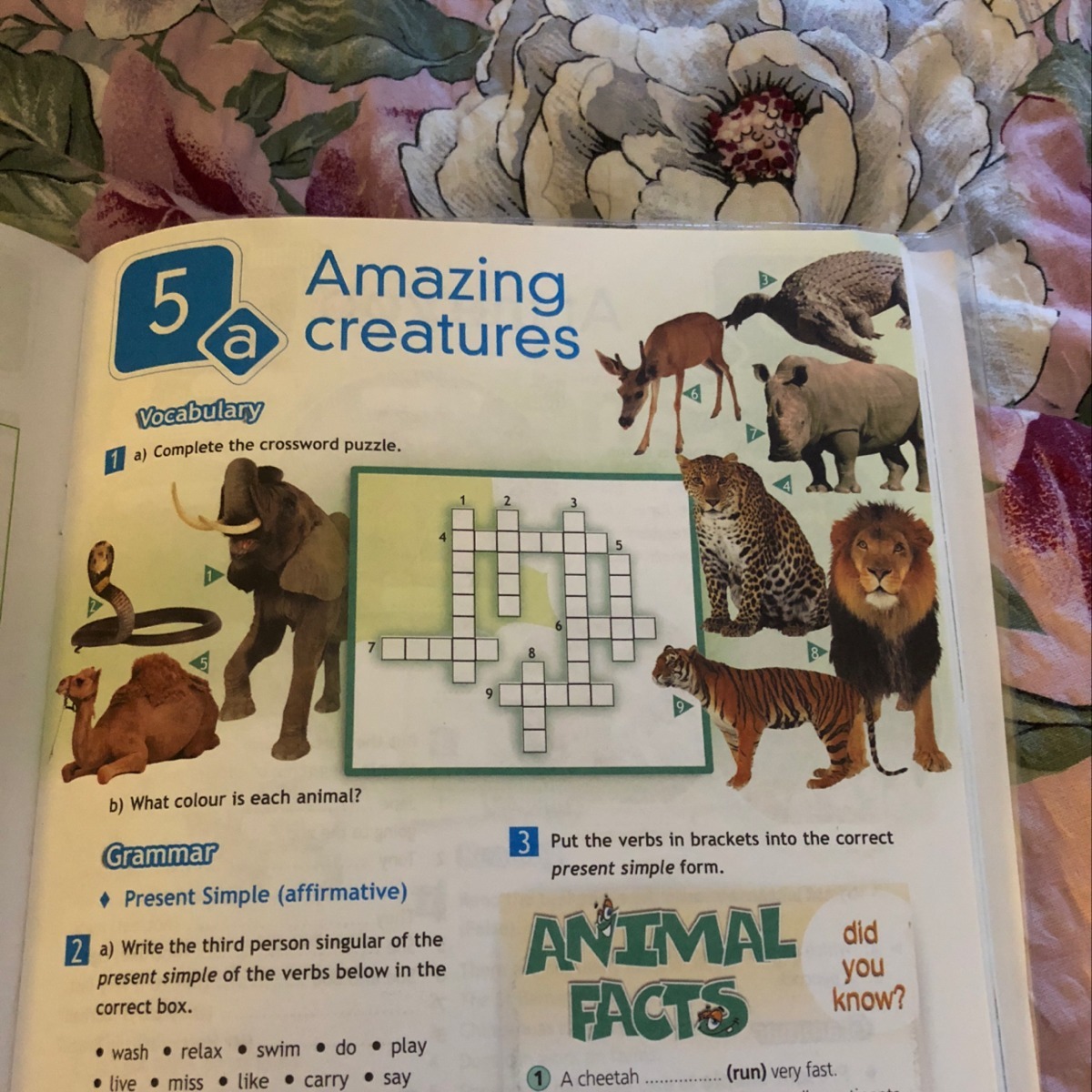 Vocabulary complete the crossword. Английский язык 5 класс amazing creatures. Complete the crossword Puzzle. 5 Класс английский complete the crossword Puzzle/ amazing creatures.