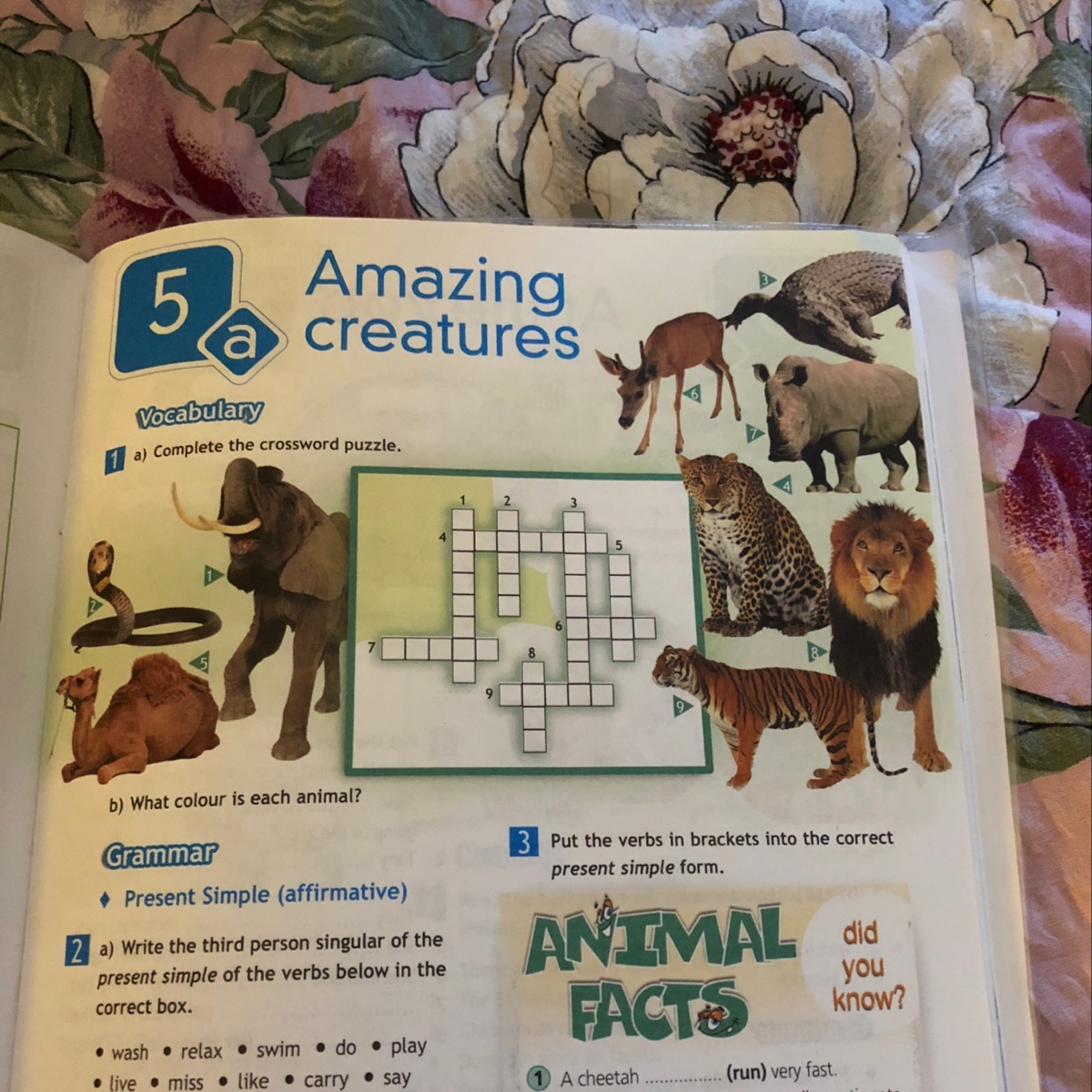 Amazing creatures 5. Amazing creatures 5 класс. Английский язык 5 класс amazing creatures. Complete the crossword Puzzle.