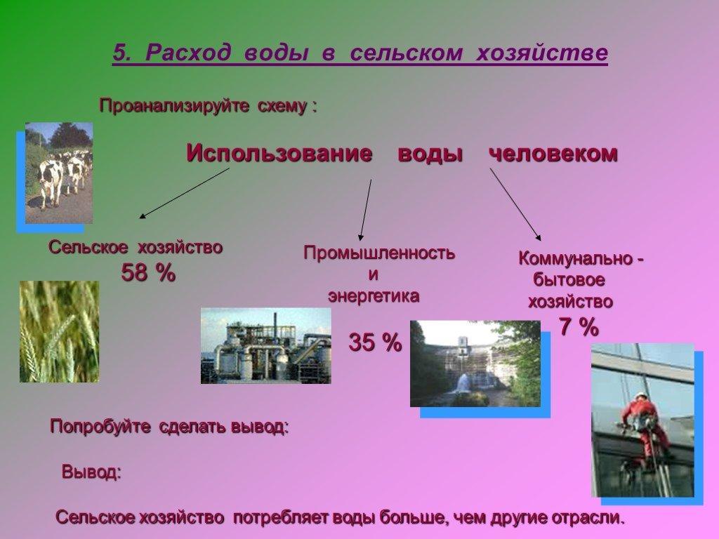 Бытовое хозяйство. Потребление воды в сельском хозяйстве. Использование воды коммунальным хозяйством. Схема использования воды человеком.