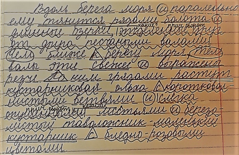 Выписать 5 словосочетаний. В тенистых кустах дополнить предложение. Дополни предложение в тенистых кустах. Выписать 5. Дополнить и записать предложения в тенистых кустах.