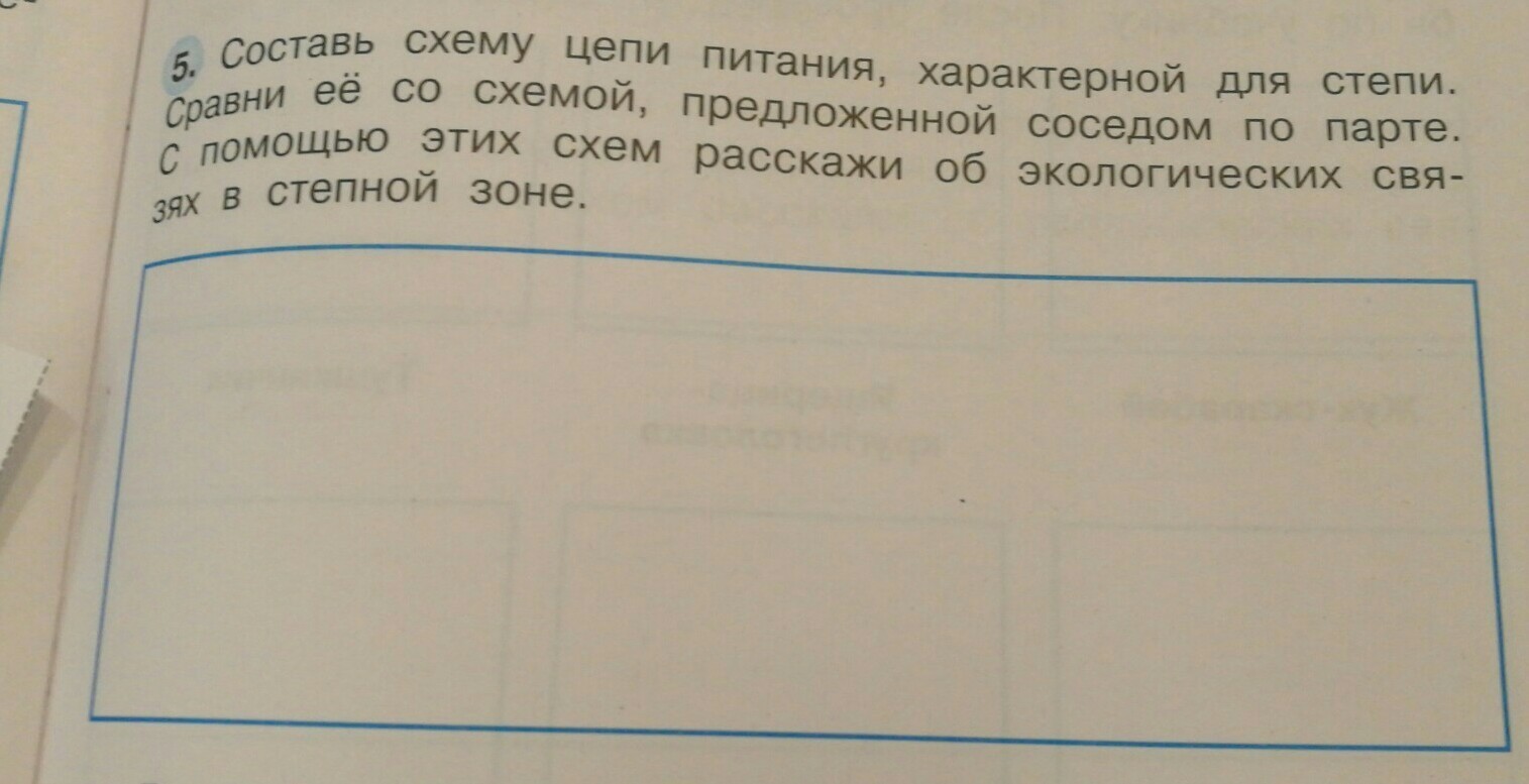 Цепь питания кавказа и южного берега крыма. Составь схему цепи питания характерной для степи. Составь схему питания характерной для степи. Составь схему питания характерной для Степной зоны. Составь схему цепи питания характерной для Степной.