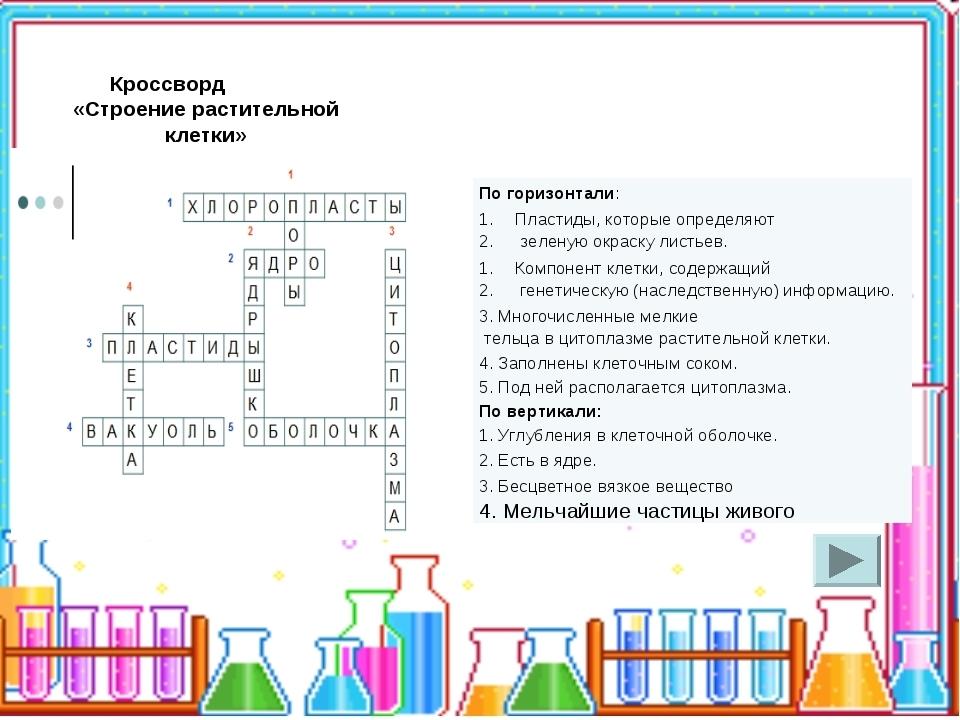 Рисует объекты произвольной формы кроссворд