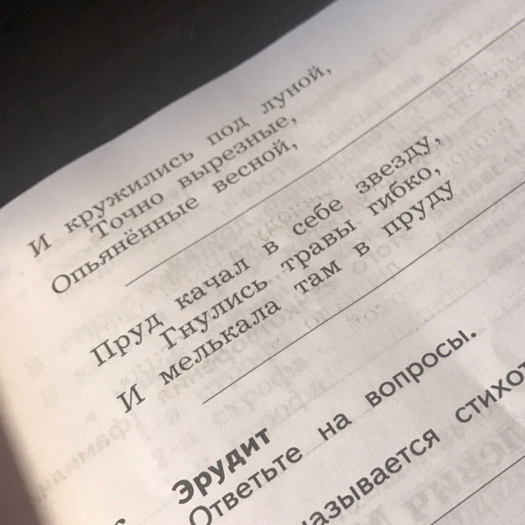 Дописать строку. Кого поэт описывает в этих строфах допишите строфы и кружились. Фотографии допиши. Кого поэт описывает в этих строфах ответ. У кого поэт описывает в этих строках допишешь в строку.