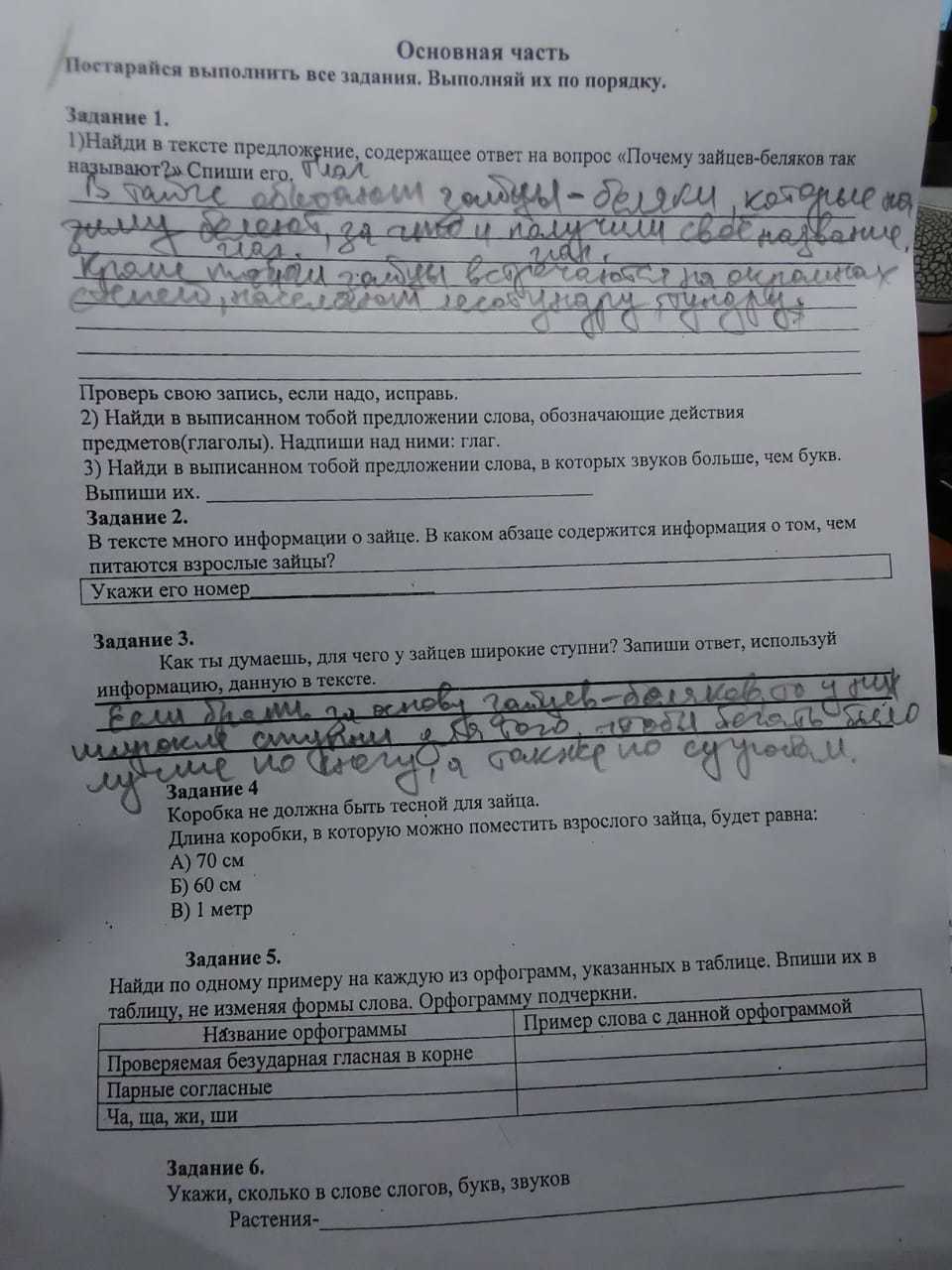 Найти в тексте ответы на вопросы. Комплексная работа 3 класс заяц Беляк с ответами. Задание 1. Найди тексте предложение, отвечающее на вопрос:.