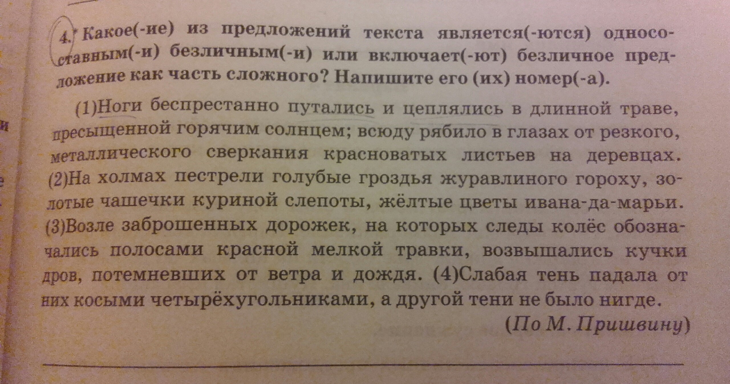 Беспрестанно. Ноги беспрестанно путались. Ноги беспрестанно путались и цеплялись в длинной траве пресыщенной. Ноги путались и цеплялись в длинной траве. Беспристанный или беспрестанный.