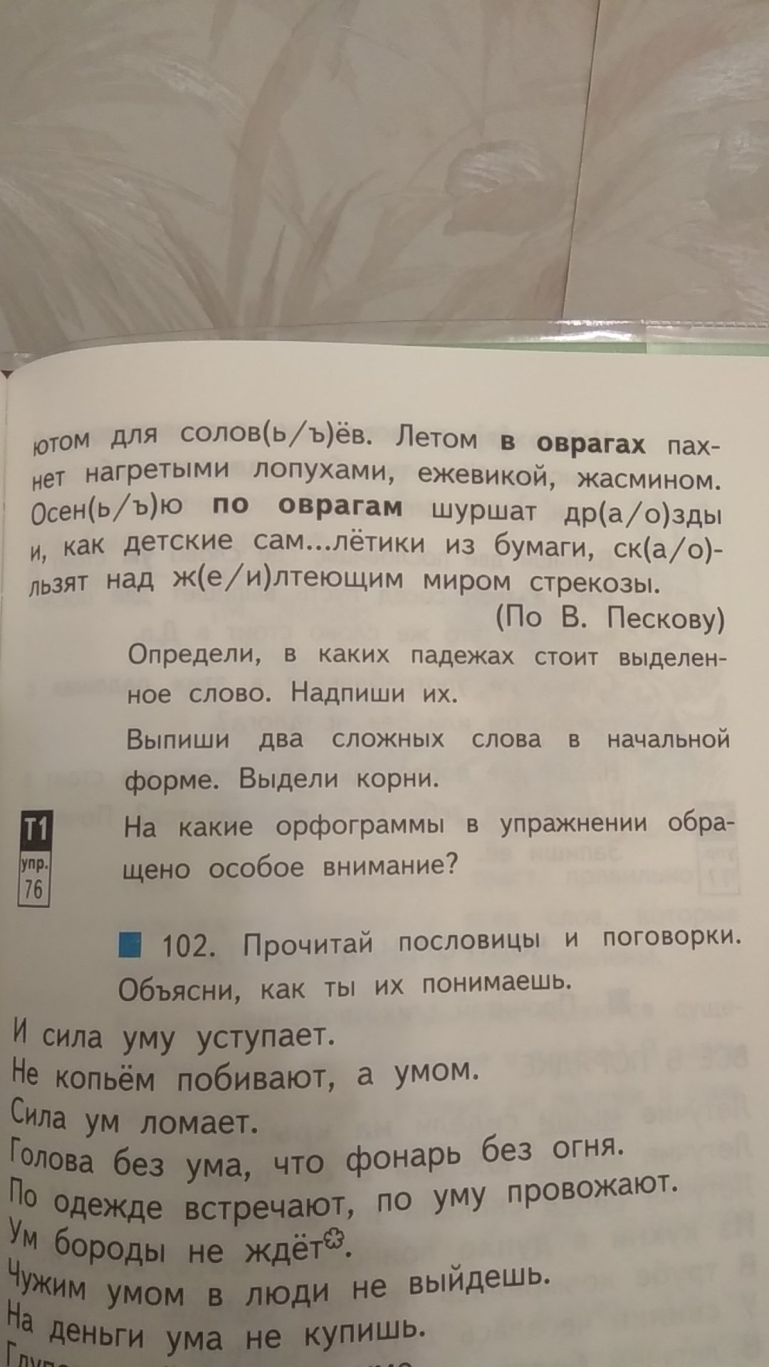 Солу какое слово. Текст солов. Слово сол пишется. Слова с корнем сол.