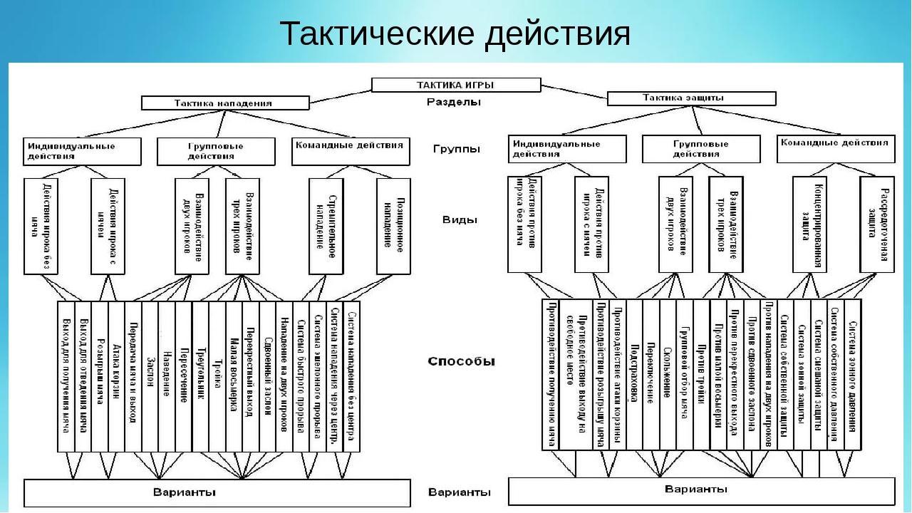 Назовите виды действий. Тактика защиты в баскетболе схема. Тактика игры в волейбол классификация. Тактика игры в нападении баскетбол классификация. Тактика защиты и нападения в баскетболе таблица.