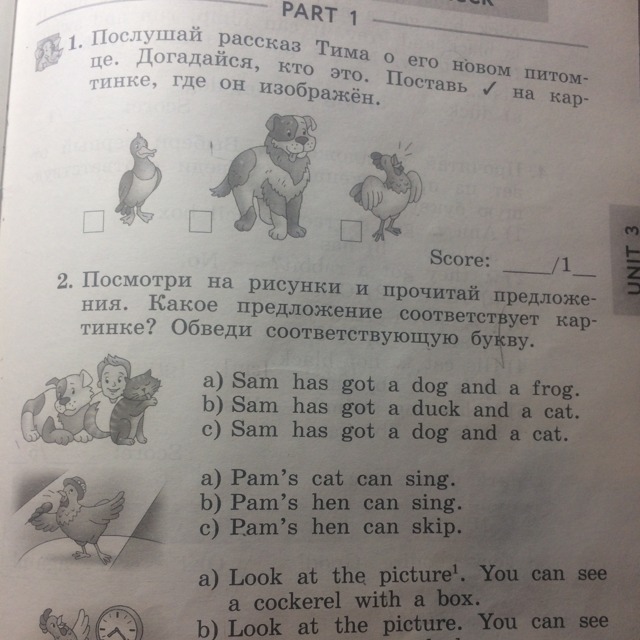 Tim has got a cat перевод. Рассказ Тима о его новом питомце догадайся. Какое предложение соответствует рисунку обведи нужную букву. Реши и прочитай предложение. Догадайся кто это.